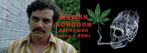 дурь Балахна