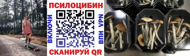 Псилоцибиновые грибы Psilocybine cubensis  Магас 